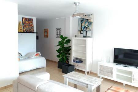 Teleworking Panoramablick Neuwertig Grosse Wohnung لوس رياليخوس المظهر الخارجي الصورة